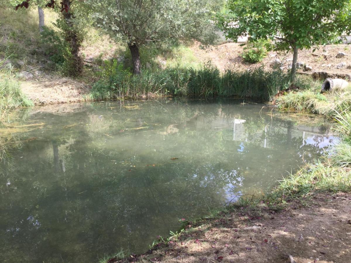 Mazet Tournesol Aux Portes Du Verdon Ferienhaus